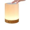 New LED Colorful Creative Wood Grain Charging Nightlight Gift Bedside Lamp Touch Pat Atmosphere Lamp